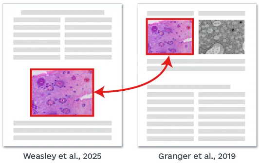 图片抄袭检测系统