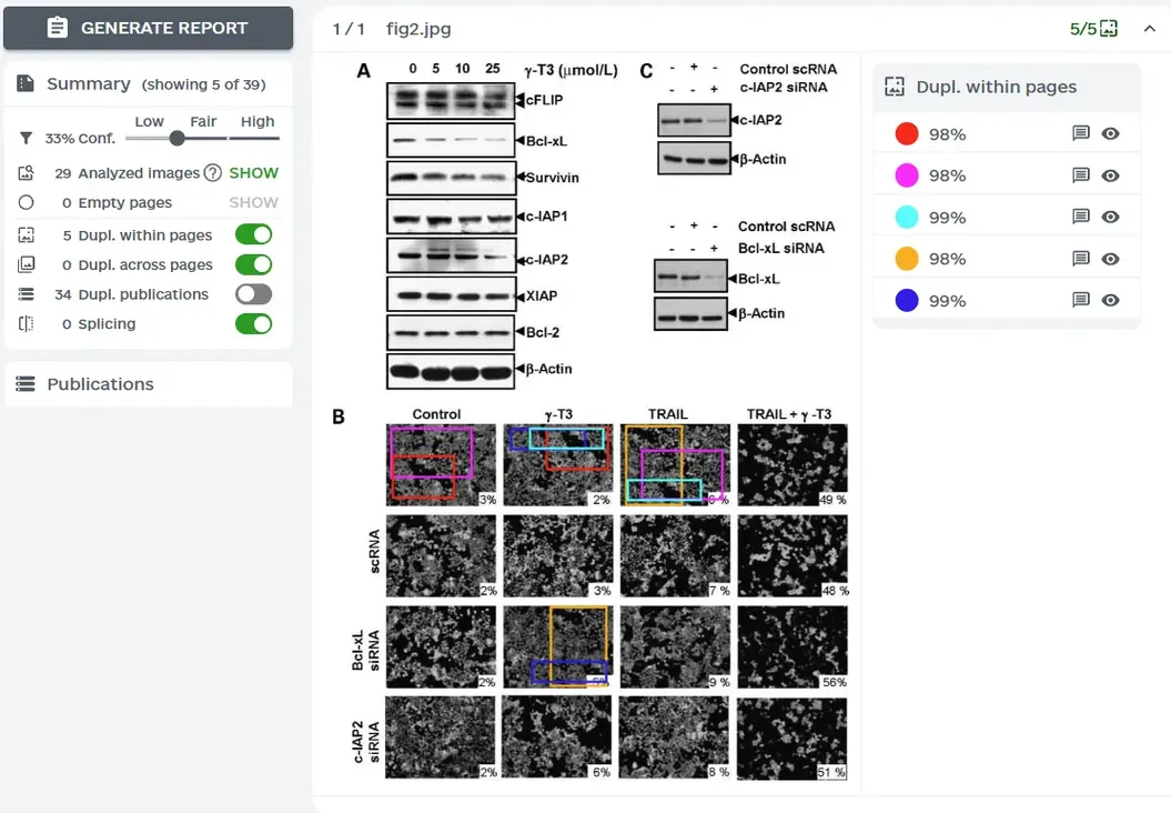 ImageTwin图片查重报告演示